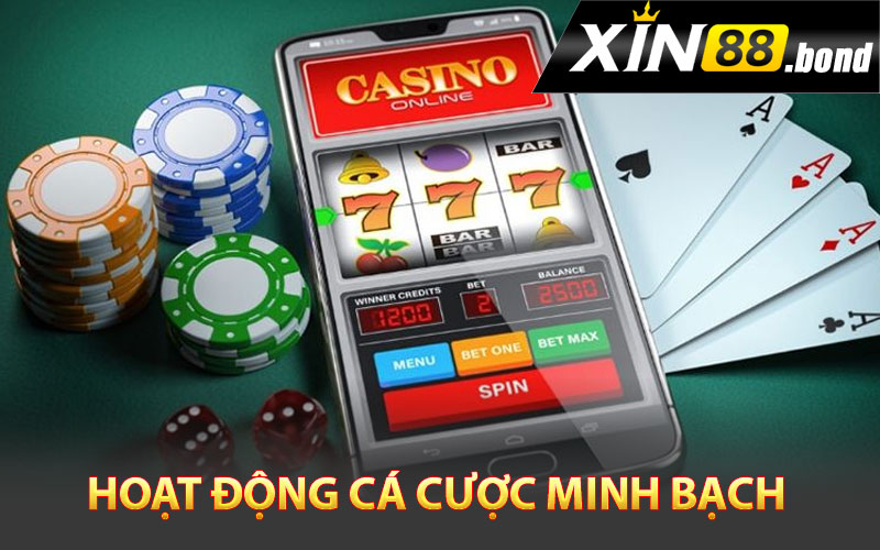 Hoạt động cá cược minh bạch